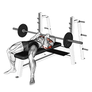 Barbell Reverse Close Grip Bench Press demonstration animation