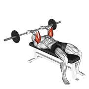 Barbell Reverse Grip Skullcrusher demonstration animation
