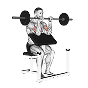 Barbell Reverse Preacher Curl demonstration animation