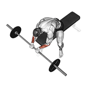 Barbell Reverse Wrist Curl demonstration animation