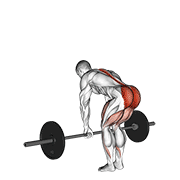 Barbell Romanian Deadlift demonstration animation