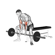 Barbell Seated Close Grip Concentration Curl demonstration animation