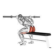 Barbell Seated Good Morning demonstration animation