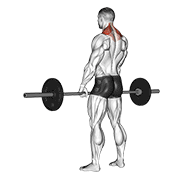 Barbell Shrug demonstration animation