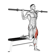 Barbell Single Leg Split Squat demonstration animation