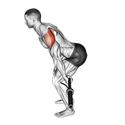 Barbell Skier demonstration animation