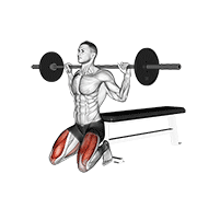Barbell Squat On Knees demonstration animation