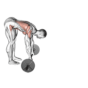 Barbell Standing Ab Rollerout demonstration animation