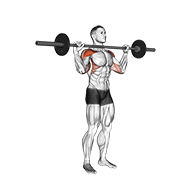 Barbell Standing Bradford Press demonstration animation