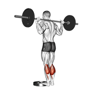 Barbell Standing Calf Raise demonstration animation