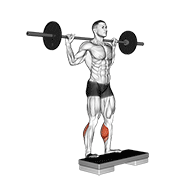 Barbell Standing Leg Calf Raise demonstration animation