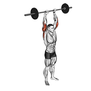 Barbell Standing Overhead Triceps Extension demonstration animation