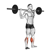 Barbell Standing Rocking Leg Calf Raise demonstration animation