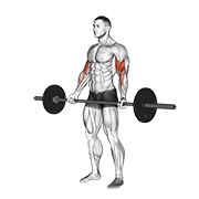 Barbell Standing Wide Grip Curl demonstration animation