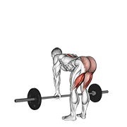 Barbell Straight Leg Deadlift demonstration animation