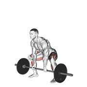 Barbell Sumo Deadlift demonstration animation