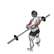 Barbell Upright Row V2 demonstration animation