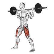 Barbell Wide Squat demonstration animation