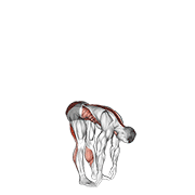 Basic Toe Touch demonstration animation
