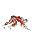 Bear Crawl demonstration animation
