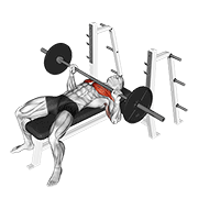 Bench Press demonstration animation