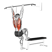 Bench Pull Ups demonstration animation