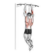 Biceps Pull Up demonstration animation