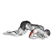 Bodyweight Kneeling Triceps Extension demonstration animation