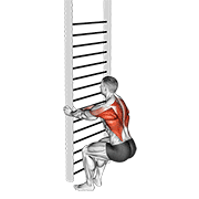 Bodyweight Squatting Row demonstration animation