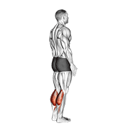 Bodyweight Standing Calf Raise demonstration animation