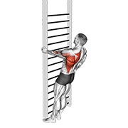 Bodyweight Standing Close Grip One Arm Row demonstration animation