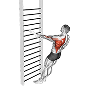 Bodyweight Standing One Arm Row With Towel demonstration animation