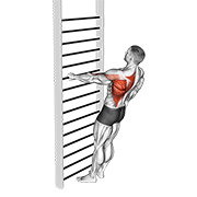 Bodyweight Standing One Arm Row demonstration animation