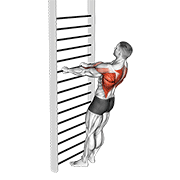 Bodyweight Standing Row demonstration animation