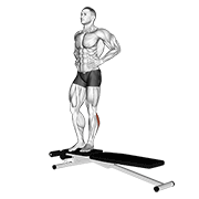 Box Jump Down With One Leg Stabilization demonstration animation