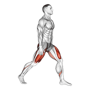Bulgarian Split Squat demonstration animation