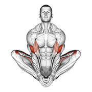 Butterfly Yoga Pose demonstration animation