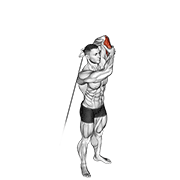 Cable Alternate Triceps Extension demonstration animation
