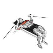 Cable Bench Press demonstration animation
