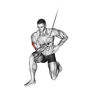 Cable Concentration Extension On Knee demonstration animation