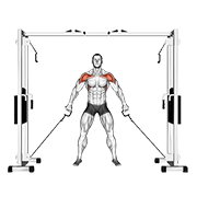 Cable Front Shoulder Raise demonstration animation