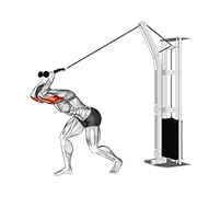 Cable High Pulley Overhead Tricep Extension demonstration animation