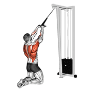 Cable High Row Kneeling demonstration animation
