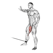 Cable Hip Adduction demonstration animation