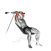 Cable Incline Triceps Extension demonstration animation