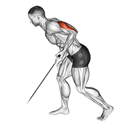Cable Kickback demonstration animation