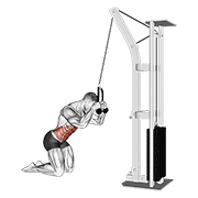 Cable Kneeling Crunch demonstration animation