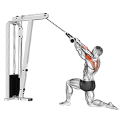 Cable Kneeling Rear Delt Row With Rope demonstration animation