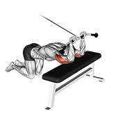 Cable Kneeling Triceps Extension demonstration animation