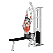 Cable Lateral Pulldown With V Bar demonstration animation